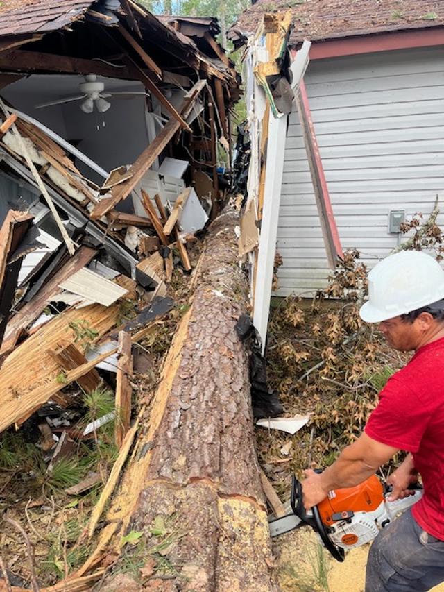 24/7 Emergency Tree Service in Fairfield CT