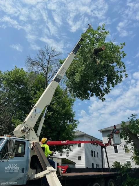 When to Use Crane Removal in Compact Connecticut Yards