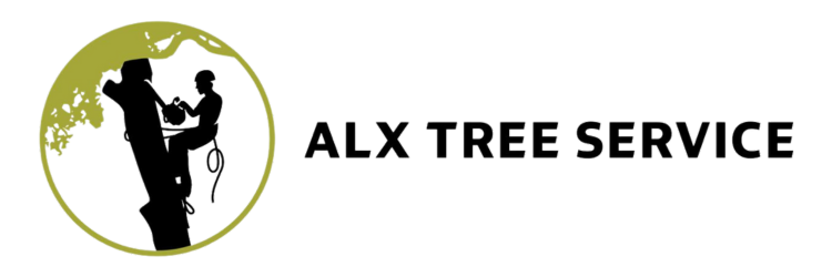 ALX Tree Services